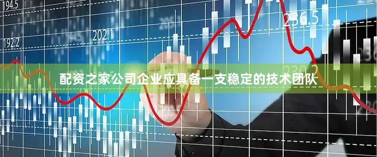 配资之家公司企业应具备一支稳定的技术团队
